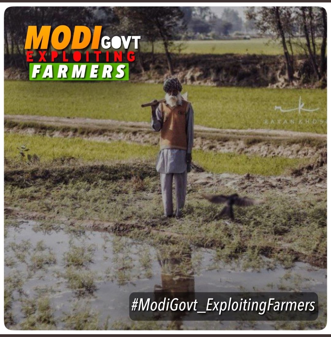 Ranbir78614022's tweet photo. Jhumla government exploiting farmers 
#ModiGovt_ExploitingFarmers https://t.co/9coUkVdUcU