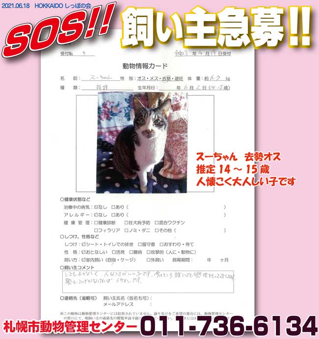 ট ইট র 認定npo法人hokkaidoしっぽの会 北海道内保健所情報 収容犬猫全63頭 昨日より12２頭増 飼い主探しノート 昨日から変動なし 札幌市動物管理センターの 飼い主探しノート は 市民による新たな飼い主探しを支援する制度で 猫21頭が 札幌市