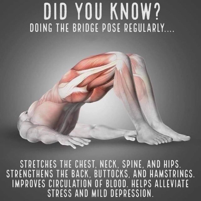 Twt_Jogging's tweet photo. Pernah tak sering rasa sakit badan kerana duduk lama sangat. Cuba lakukan renggangan sikit otot tu setiap kali rasa tak sedap badan &amp; let me know if it works yaa! https://t.co/jbLyDk3C2m