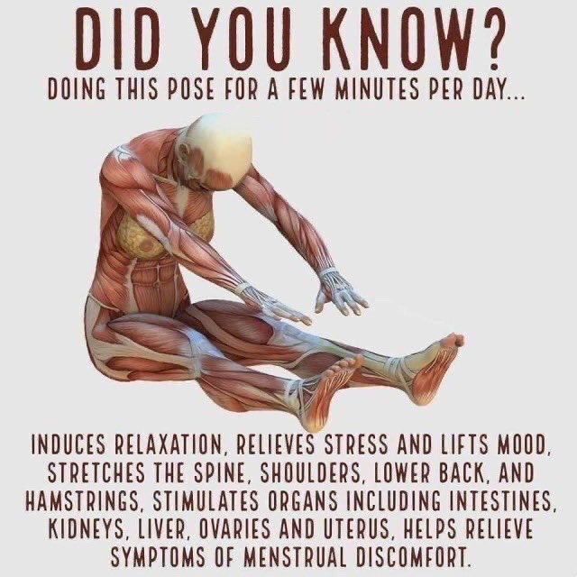 Twt_Jogging's tweet photo. Pernah tak sering rasa sakit badan kerana duduk lama sangat. Cuba lakukan renggangan sikit otot tu setiap kali rasa tak sedap badan &amp; let me know if it works yaa! https://t.co/jbLyDk3C2m