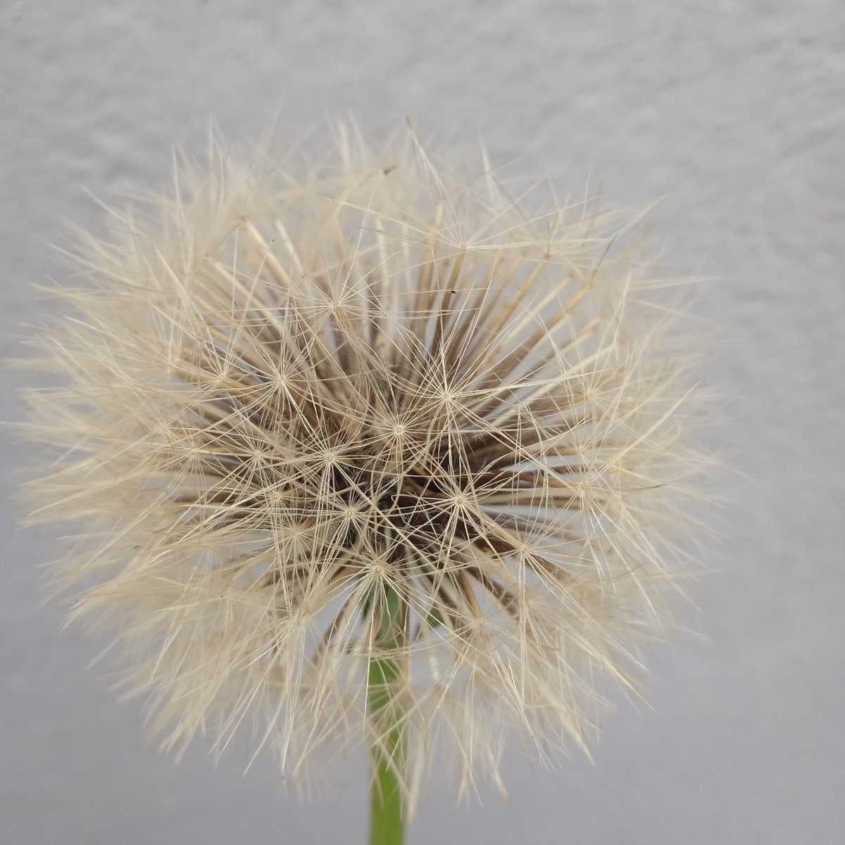 #NouvellePhotoDeProfil