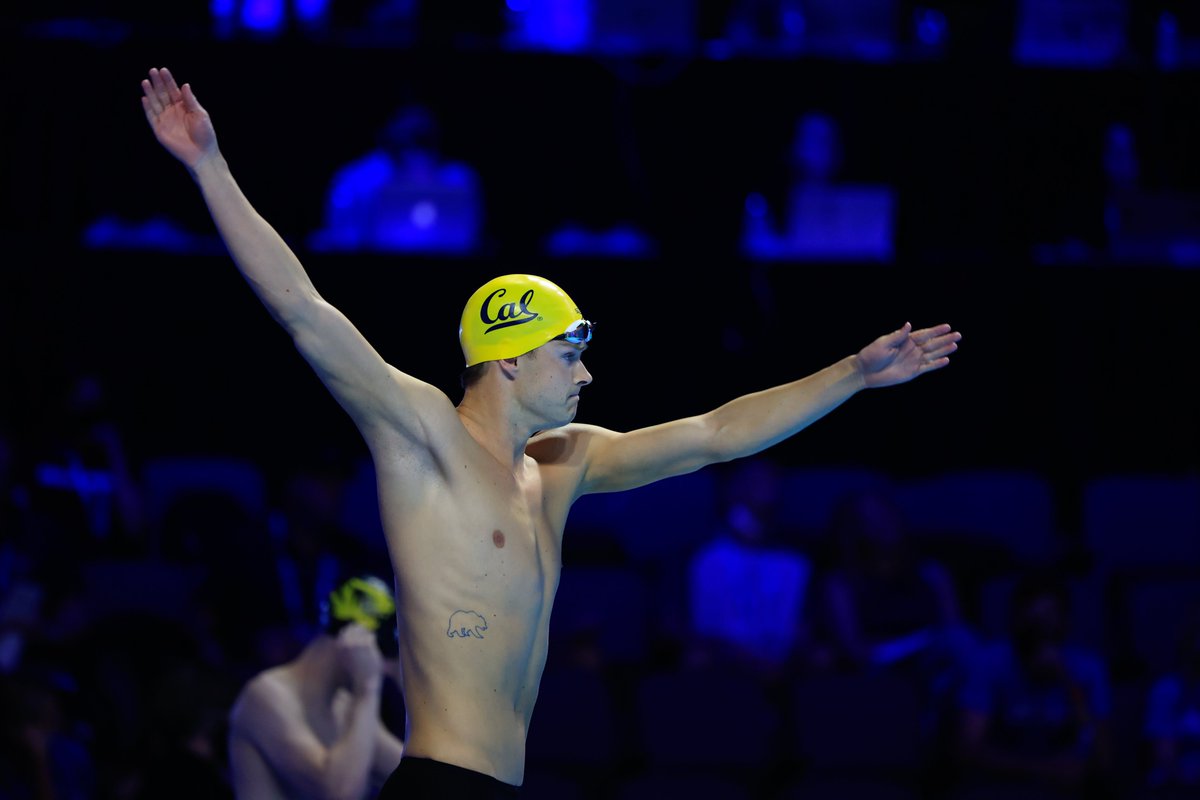 cal_swimdive's tweet photo. Roll on you Bears. 👊 https://t.co/aZsS3n4h9P