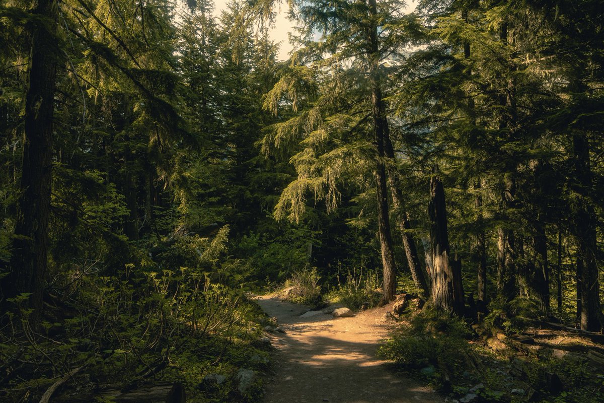 fouxcus's tweet photo. Took my pro mist to Montana 🌲 https://t.co/bbN0OpBJur