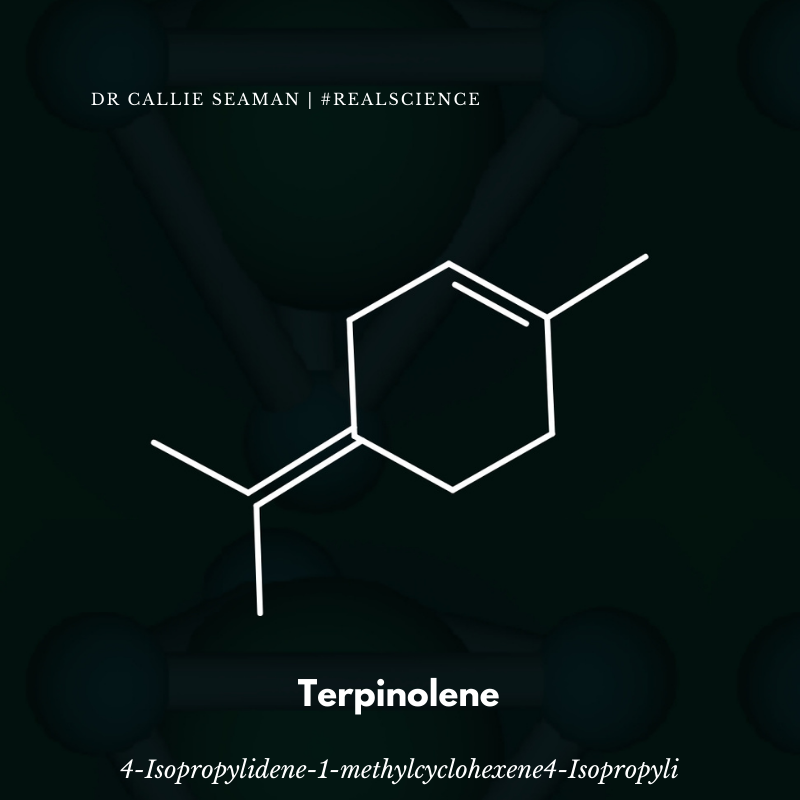 dr_CallieSeaman's tweet photo. This weeks molecule of the week is terpinolene. This stinky little cutie is one of the monoterepenes found in cumin,nutmeg and cannabis Sativa. Terpinolene is sweet and piney in her aroma and out of the dirty dozen most common terpenes, she is the rarest
#moleculeoftheweek https://t.co/Jo3oS2sxpf