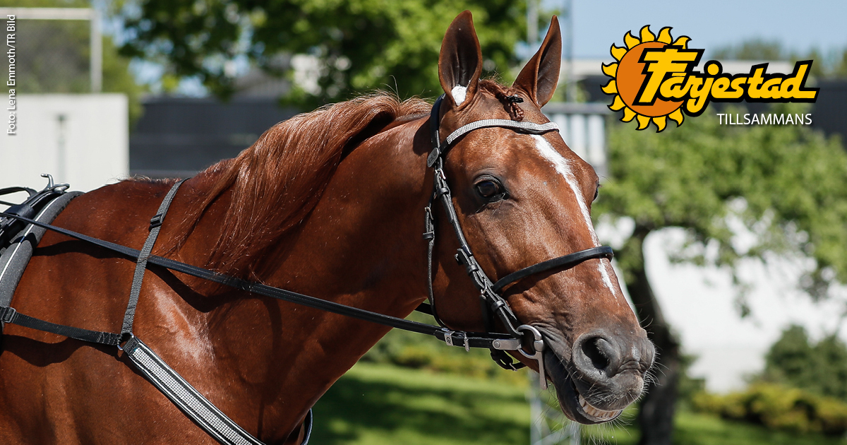 Spela tillsammans med Mikael Wikstrand och Olle Eriksson Ek i deras Jackpotsystem på V75!
 
- Wiken och Olles Jackpot 350 kr (1/12)
- Wikens Wärsting 150 kr (1/15)
- Fräkke Fredrik 100 kr (1/10)
- Fräkke Fredrik TV-system 75 kr (1/25)

atg.se/farjestadandel…
Åldersgräns 18 år