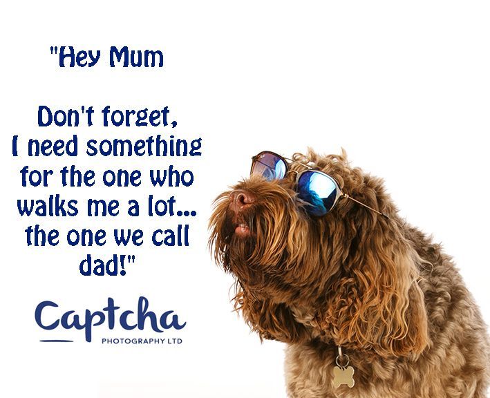If our 4 legged pals could talk...but they have dads too!
Captcha are here, you have 48 hours to send us your images we can print, frame put in magnets, mousemats, keyrings or coasters.  Prices start at 75p...cheaper than a tin of dog food!
email hayley@captcha.co.uk  
#dogphoto
