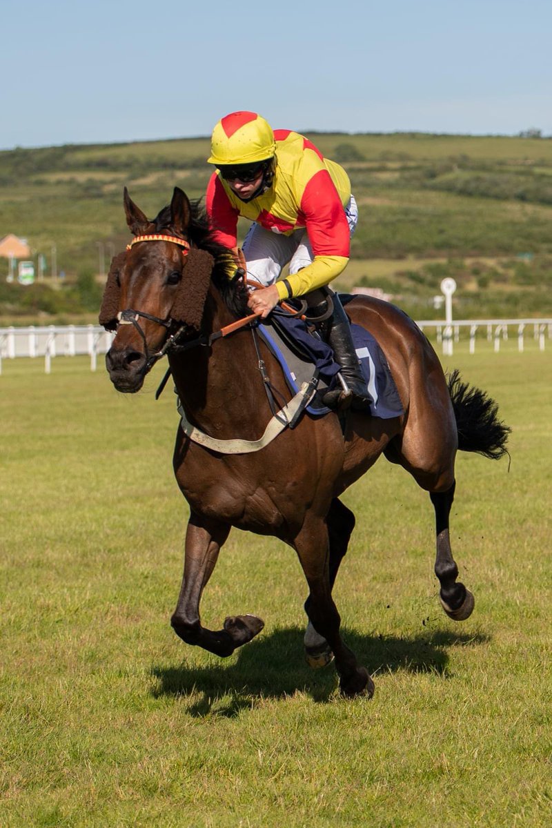 Peter Bowen Racing (@peter_bowen_) on Twitter photo TREBLE!! A great night at <a href="/FfosLasRC/">Ffos Las Racecourse</a> Lermoos Legend and Equus Dancer both completing there hat-ricks and Courtland winning impressively first time over fences. TREBLE!! A great night at <a href="/FfosLasRC/">Ffos Las Racecourse</a> Lermoos Legend and Equus Dancer both completing there hat-ricks and Courtland winning impressively first time over fences.