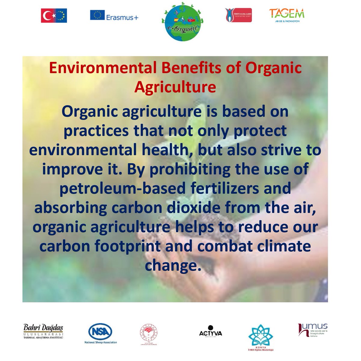 eorganiceu's tweet photo. #WorldEnviromentDay #OrganicAgriculture #Organic #OrganicLivestock #CarbonFootprint https://t.co/ijcCjO9BH7