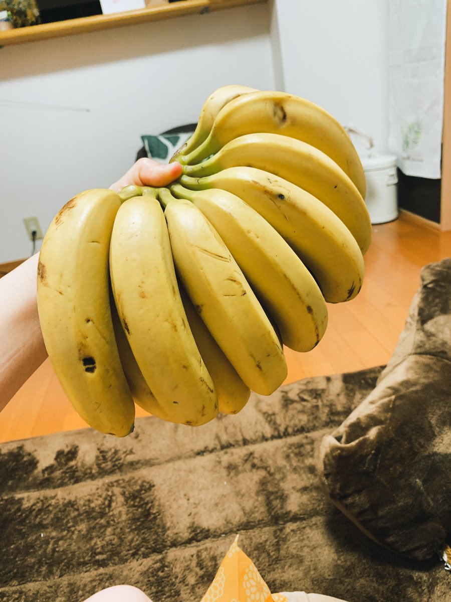 ピコ ソルジャー ルミエールカツ丼沼りオヤジ على تويتر 宗像の東郷駅近く ジャイアン という八百屋はめっちゃ安くていつも大混雑