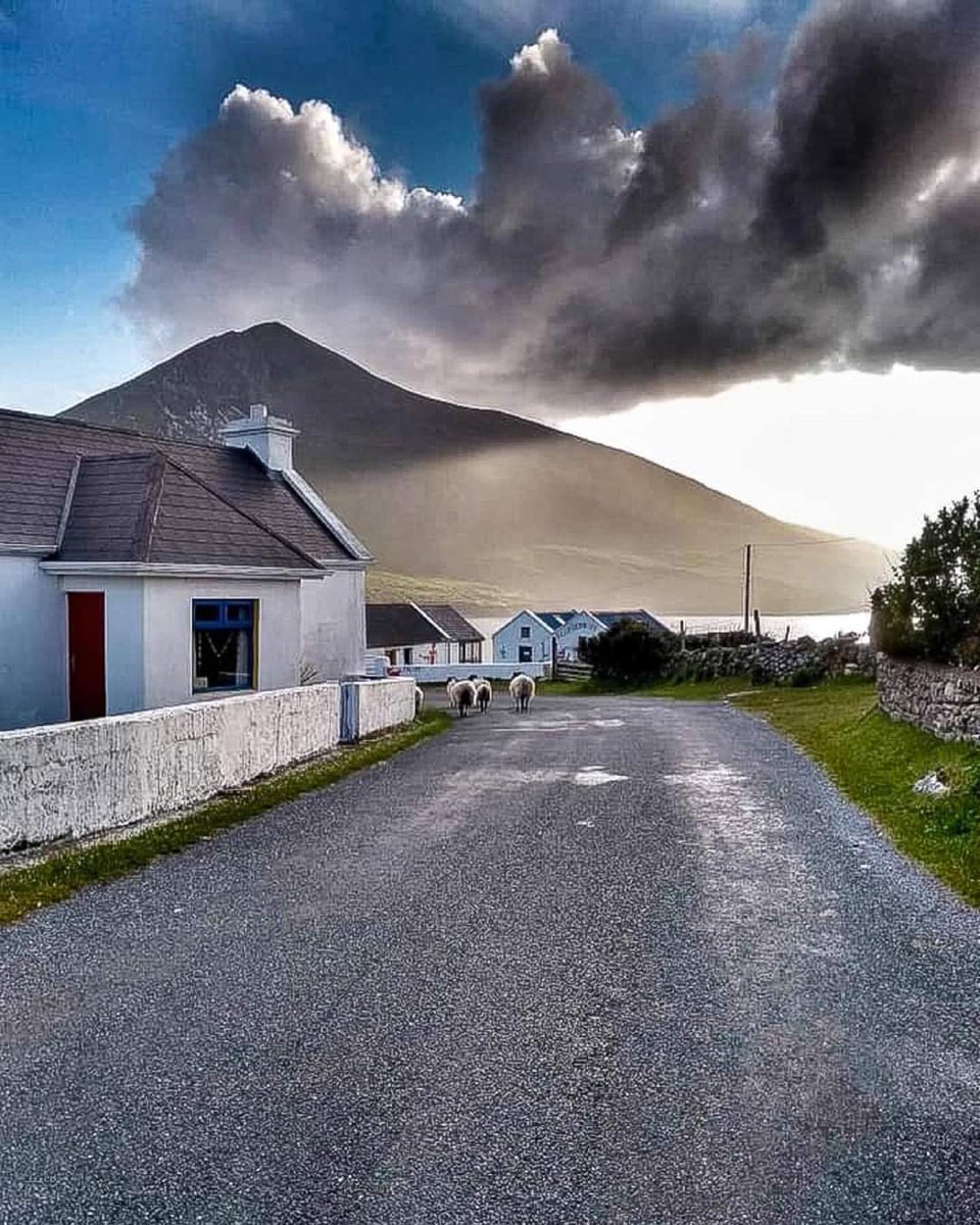 FollowIreland's tweet photo. One of the most quintessentially Irish villages 🇮🇪 Dugort on Achill Island typifies the raw wilderness of the Atlantic coastline. soaring cliffs, windswept beaches, rich heritage and deserted boglands.☘✨

📌 Achill, County Mayo
📸 Patrick Caine
We 💚🤍🧡 Ireland https://t.co/BNvjVr4Uug