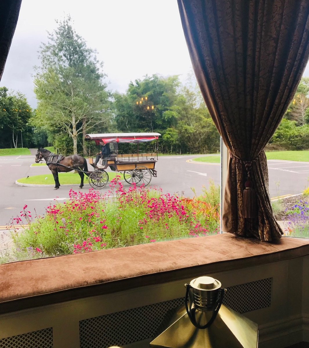 Lake Hotel tweet media