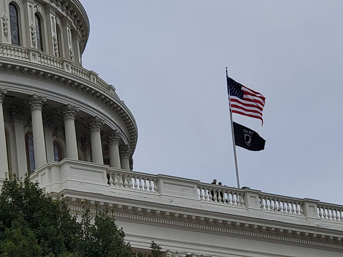 ParlerVideos tweet media