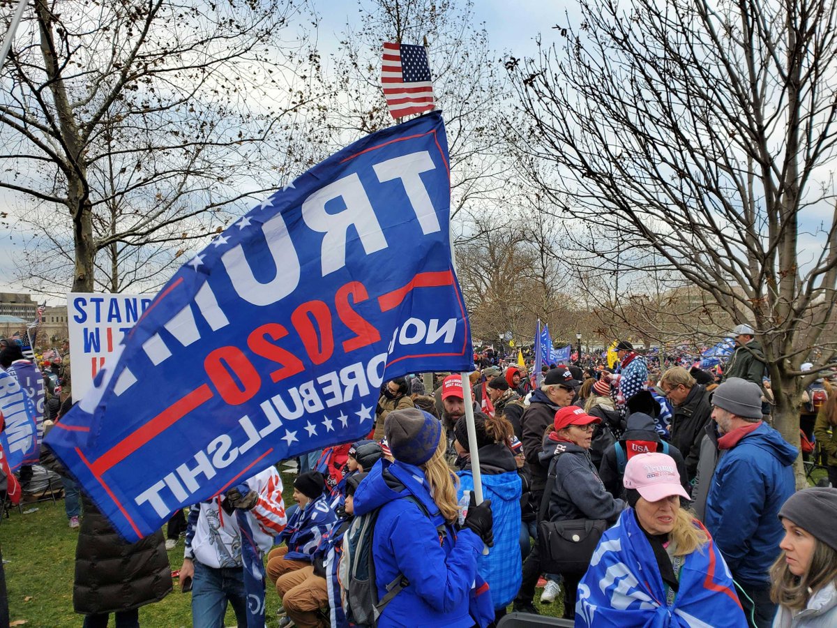 ParlerVideos tweet media