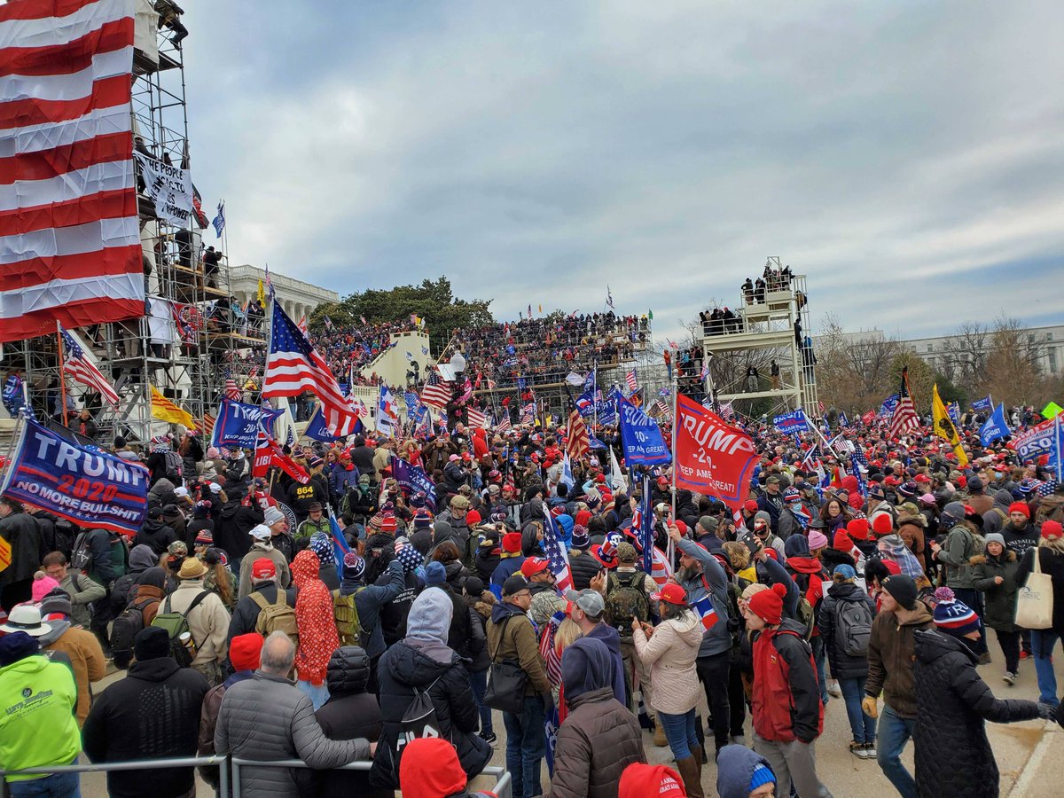 ParlerVideos tweet media