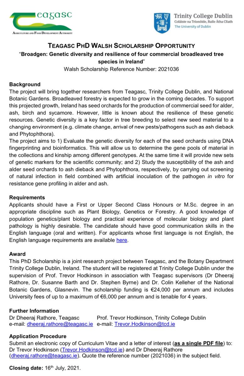 DRaj_Rathore's tweet photo. #PhD #Walsh #Scholarship available on #BroadGen project to study #Geneticdiversity & #resilience of 4 #broadleaved #tree species @teagasc @tcddublin @NBGGlasnevin @teagascforestry @TeagascCrops @FindAPhD @phd_position @stephenbyrne00 https://t.co/HzMm4TGI68 https://t.co/6TihCMElSM