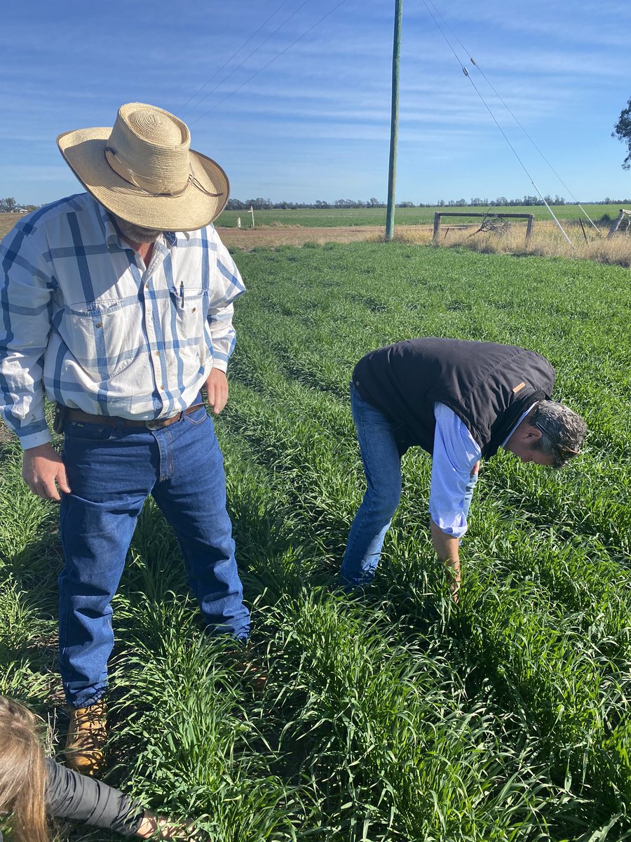 ameliashaw91's tweet photo. Words can’t describe how good for the soul it feels to be out on farm again!Thanks @Warraboy and parents for the tour and hospitality! And look the at that green paddock ❤️ https://t.co/0KtbOOIhsU