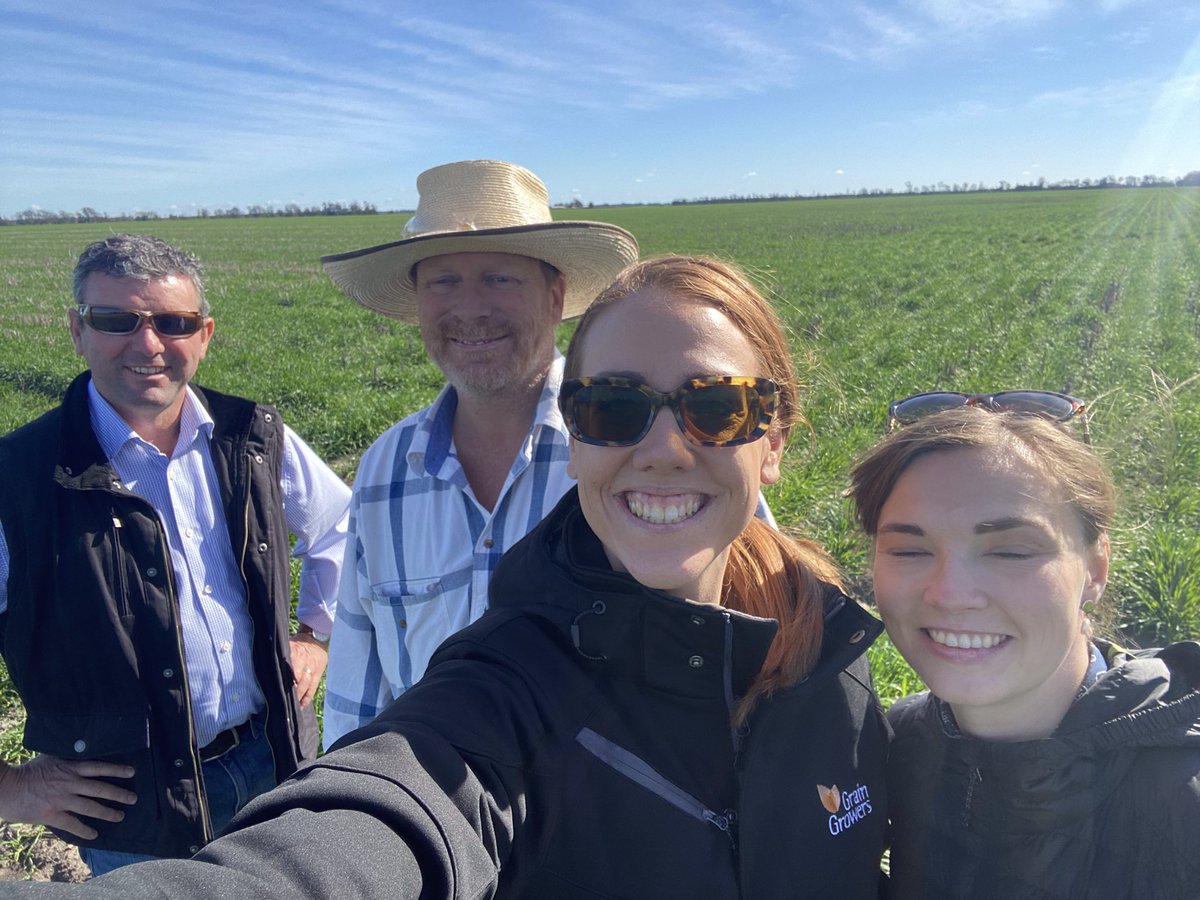 MaxieHanft's tweet photo. After working for @AgForceQLD during the 2019 drought, it was such a delight to see the Darling Downs today in green with happy barley crops 🌾🌾 shooting out of the ground! Thank you so much @Warraboy for hosting and @GrainGrowersLtd for organising. @ameliashaw91 @HoskingBrett https://t.co/037NJq7E39
