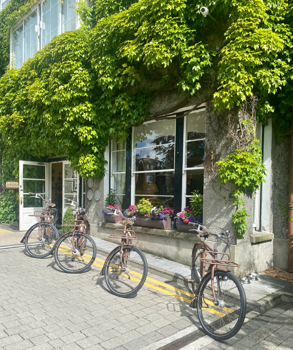 EnnisChamber's tweet photo. On yer #bike! What to do after a delicious meal in the #magical #garden space @OldGroundHotel ❤️ #Ennis? Hop on a classy ‘Amsterdam’ style #bycicle to #explore local gems while building calorie credits for later…of course! 🙄🚲😃#KeepDiscovering #WAW #EverybodyLovesEnnis #Clare https://t.co/34Diz8x6u5