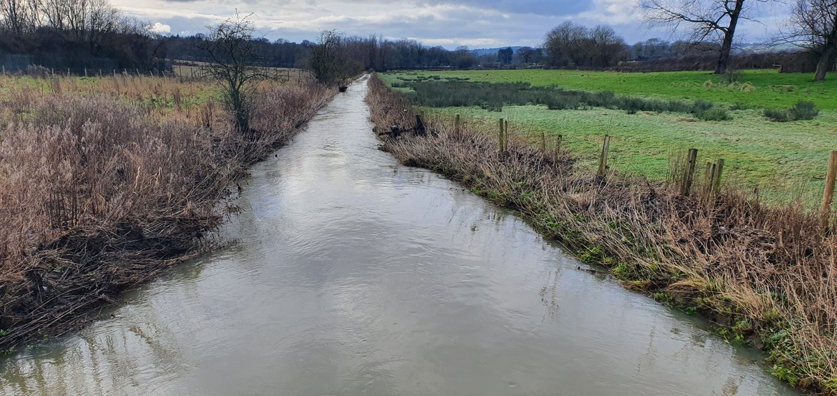 Dynamic_Rivers's tweet photo. Little wonder our wildlife has no chance when we consider this an acceptable state for our rivers in the UK!!! Re-naturalise NOW. https://t.co/Uz1GLIofOH