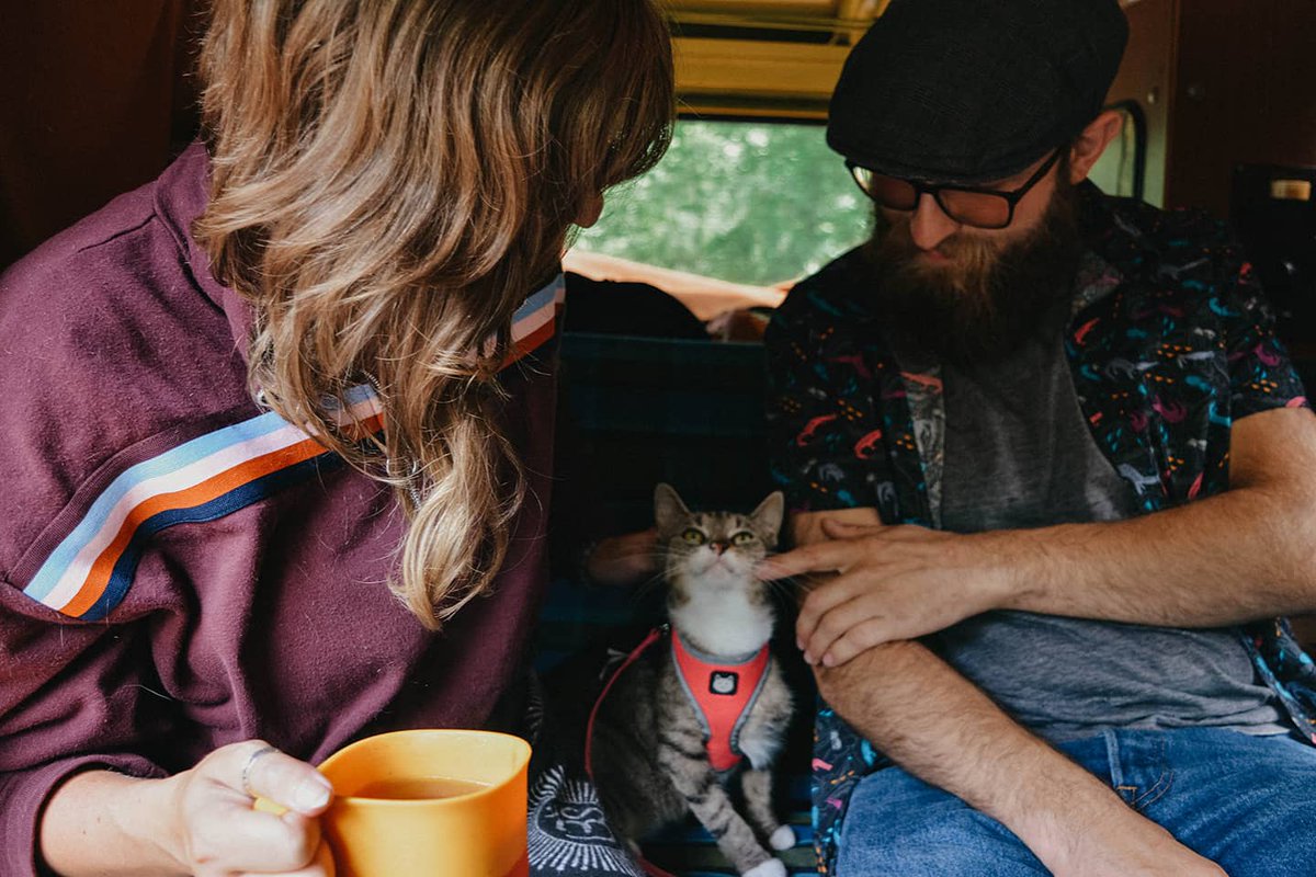 Schmit_the_bear's tweet photo. Living vanlife with your best friend is amazing.
#vanlife #cats #vanlifecat #BusLifers https://t.co/ssHH5ymGcp