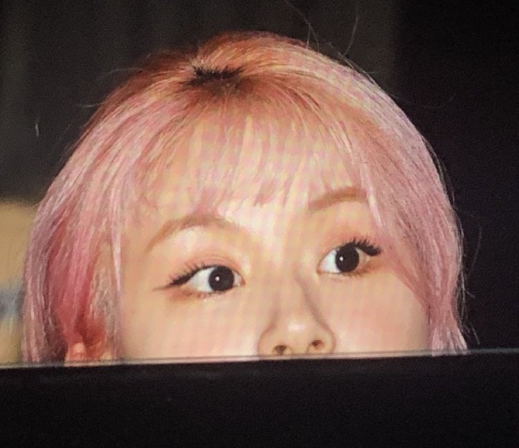 hourchae's tweet photo. she’s tiny https://t.co/z1RUMqxNVx