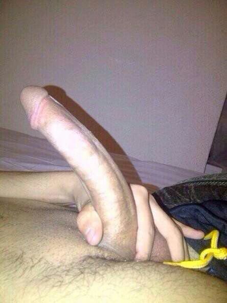 خالد الفحل (@gp5wsf4xi3brscw) on Twitter photo 