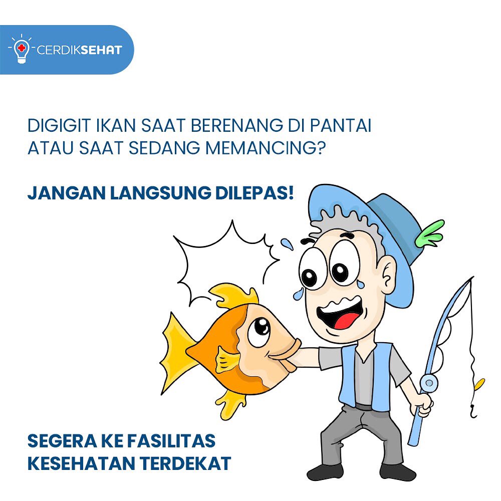 cerdiksehat's tweet photo. Jangan pernah melepaskan gigitan tersebut tanpa tangan seorang yang professional.

Segera bawa ke fasilitas kesehatan terdekat, atau cari tim medis setempat!

#GenSehat #GenerasiCerdik #CerdikSehat #Sehat #TubuhSehat #TipsSehat #HidupSehat https://t.co/OUiGf8AosH