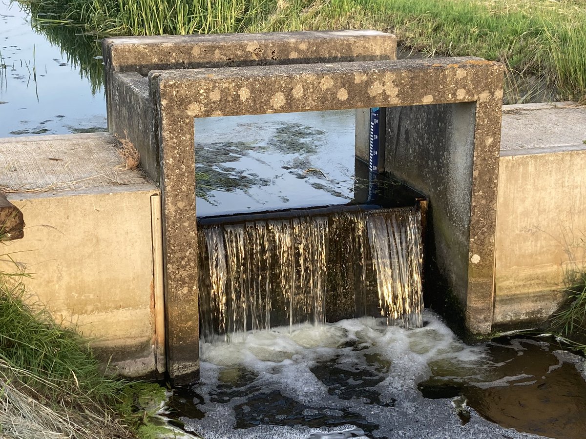 Stuwtje met houten planken <a href="/DeMelktap/">De Melktap</a> waarmee boeren en het waterschap in de #Achterhoek het water vasthouden. #klimaatadaptatie #droogte