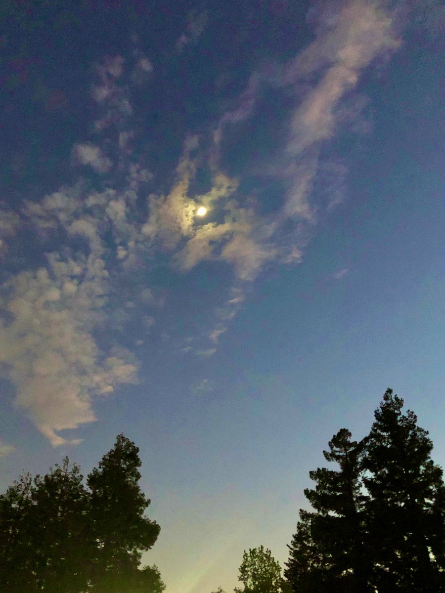 PaulaPhoto007's tweet image. Took this shot for my bf, a tree man for 30 years… #nightsky #treez #twins #lovers #trees #moon #halffull #iphone #photography #peaceful #missinghim #heatwave #fremont