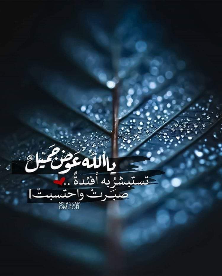 C8BOSXnE0hMz4bP's tweet photo. اللَّهُمّ اسقِ قُلوبنا بِذكرك حتّى تُروى
 وأشبِع أرواحَنا بِطاعتك حتّى تَقوى 
وكُن بِنا رؤوفاً رحيماً، 
فلا مَلجأ لنا سِواك ولا مَأوى..يالله🤲 https://t.co/6DYZA8XNOV