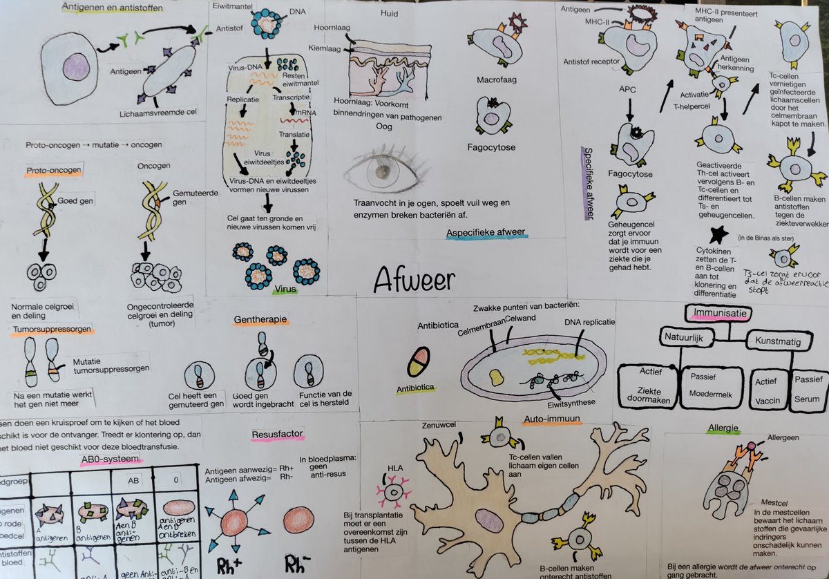 Irene Bos tweet media