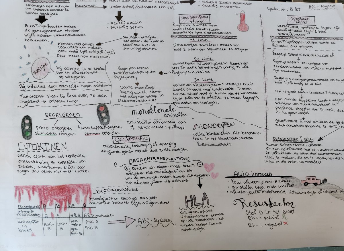 Irene Bos tweet media