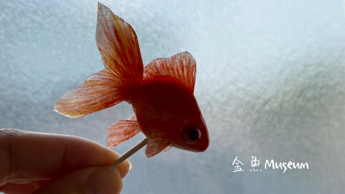 ট ইট র ジュン おうち金魚 金魚museumさんこんばんは お祭りで売ってる飴みたい 美味しそう