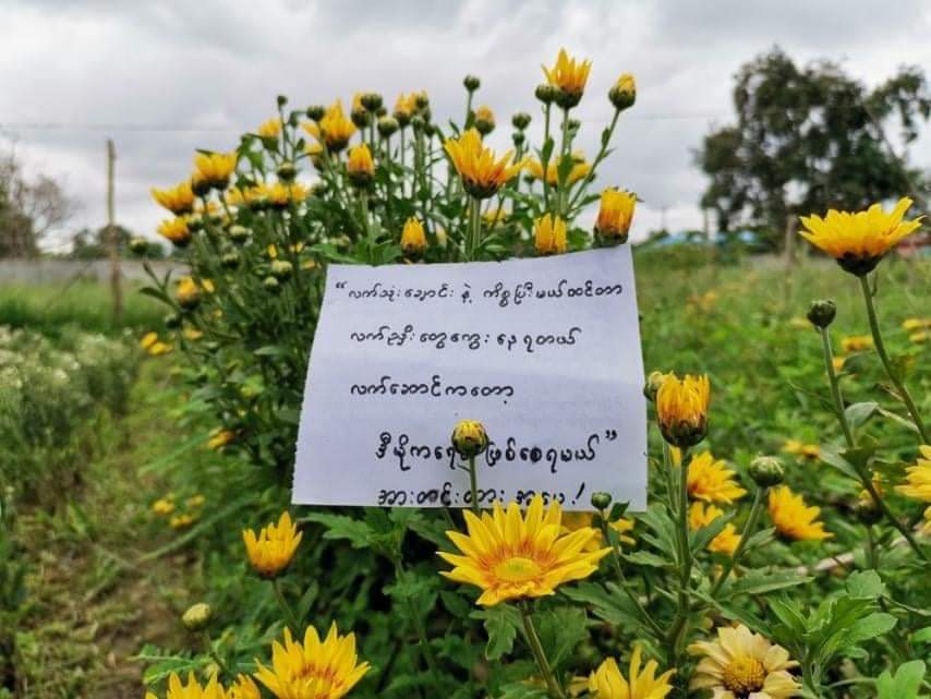 #Pyay
The Generation Z of #Pyay are making a Flower Strike for our Leader Mother Aung San Suu Kyi's Birthday.
#June18Coup 
#WhatsHappeningInMyanmar
