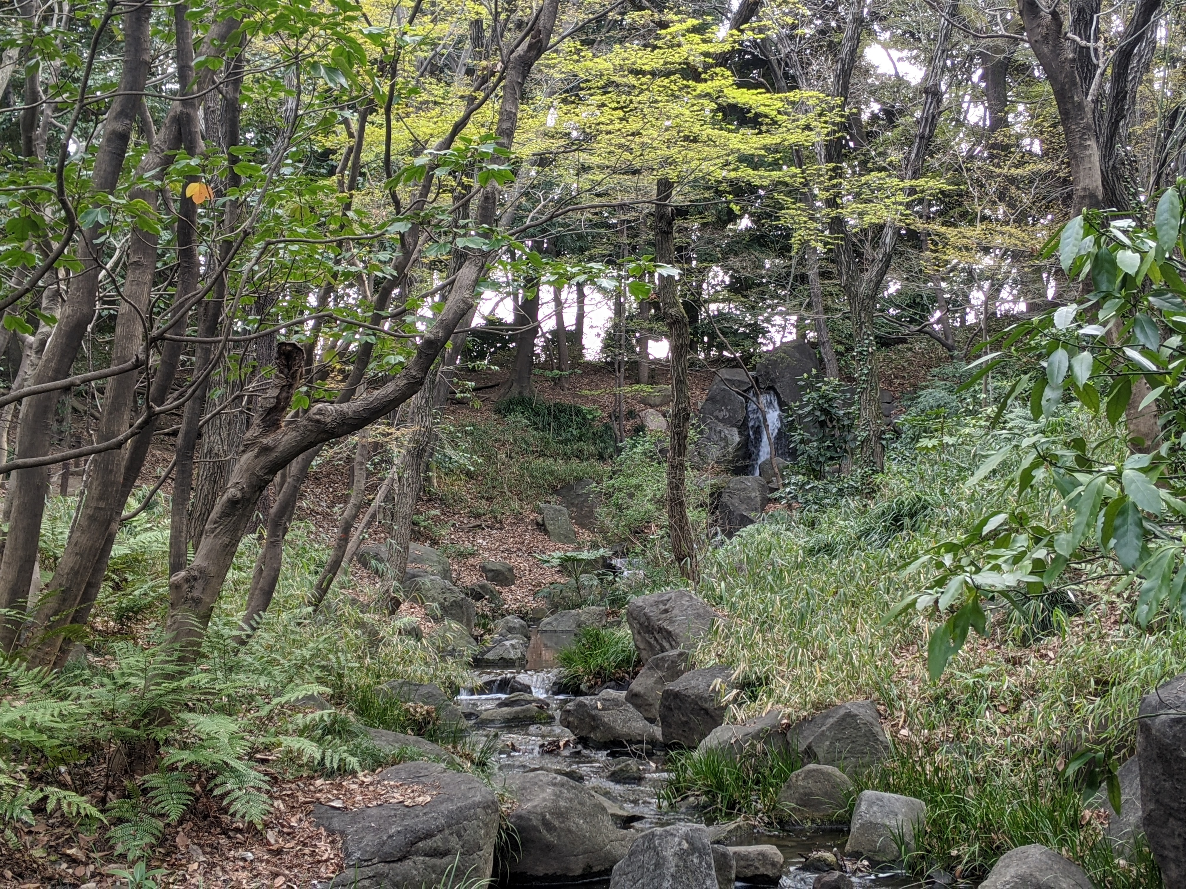 井上紀子 Noricco1007 Twitter