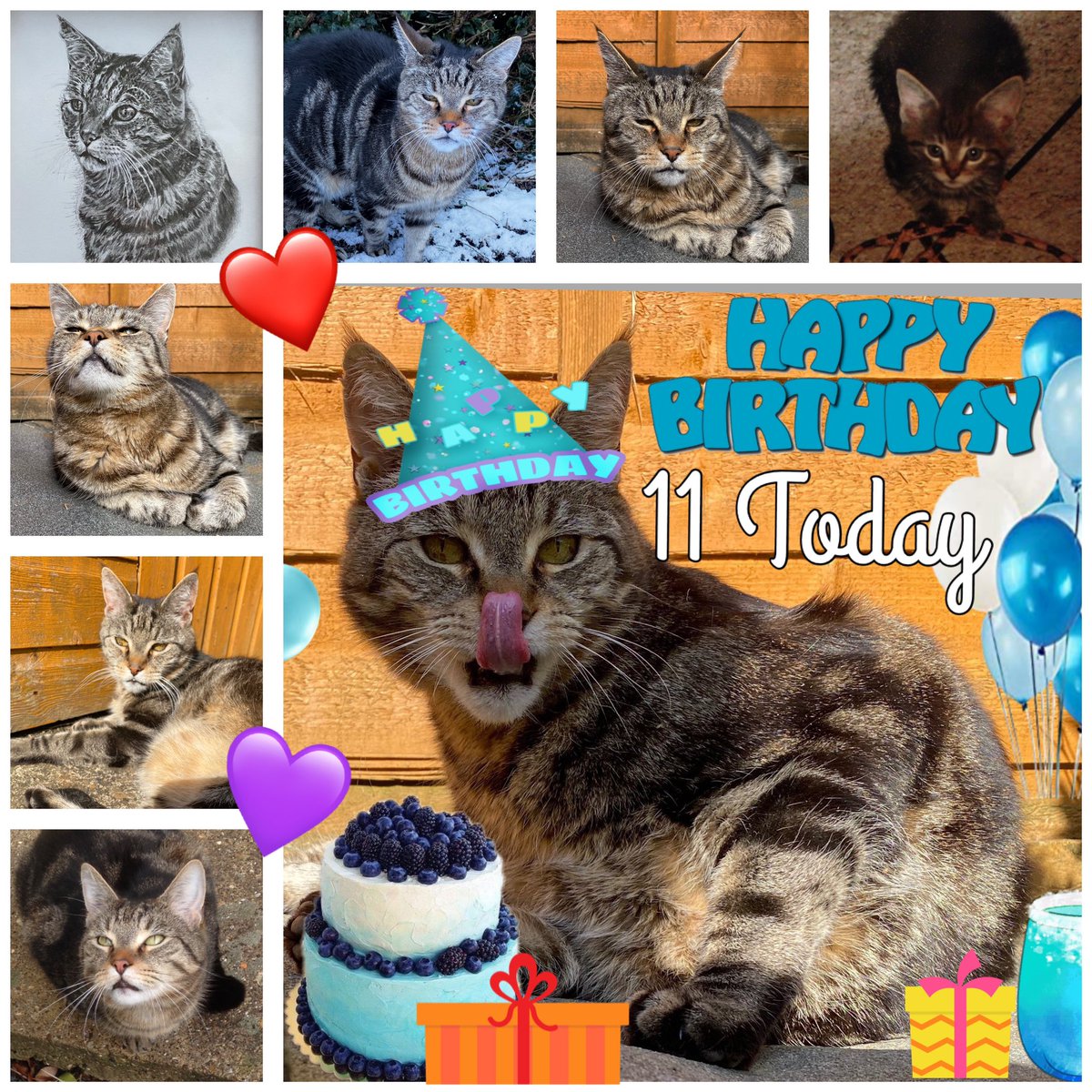 ✨Leo ✨ tweet media