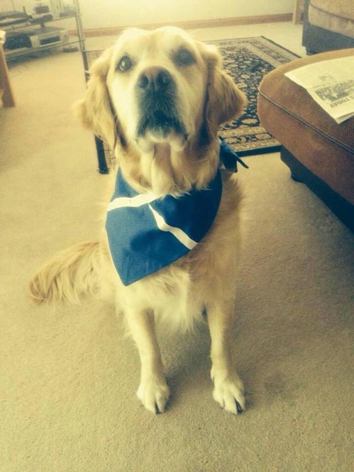 Will it be the thistle or the rose?! Good luck to both teams tonight !! #englandvscotland #EURO2020 #Euros2021 #ENGSCO #Eng #SCO <a href="/HannahMiley89/">Hannah Miley</a> ❤️ zukiestyle.co.uk/zukiestyleshop…