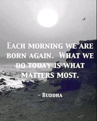 MarflAlex's tweet image. 