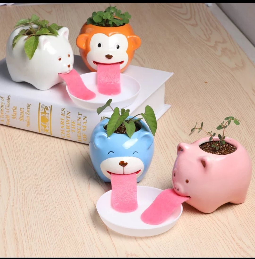 HomhomCandles's tweet photo. เปิดพรีน้อนๆ 120฿ รอของประมาณ1เดือน
มี6ลาย 3ตัว 350฿
 #พรีออเดอร์ https://t.co/UemnlXqa7L