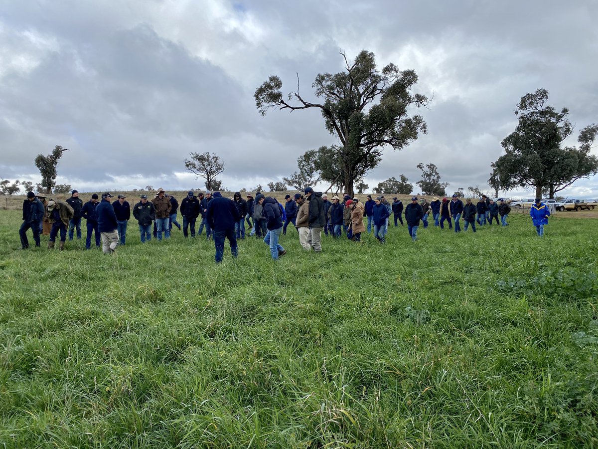 We enjoyed hosting 50-odd farmers today as part of the YellcoAg winter bus tour. It was cold and wet, so a limited farm tour, but an interested group. Any opportunity for farmers to spend time learning together is a good day! #yellcoag #agchatoz <a href="/MSMMilling/">MSM Milling</a> #JADagriculture