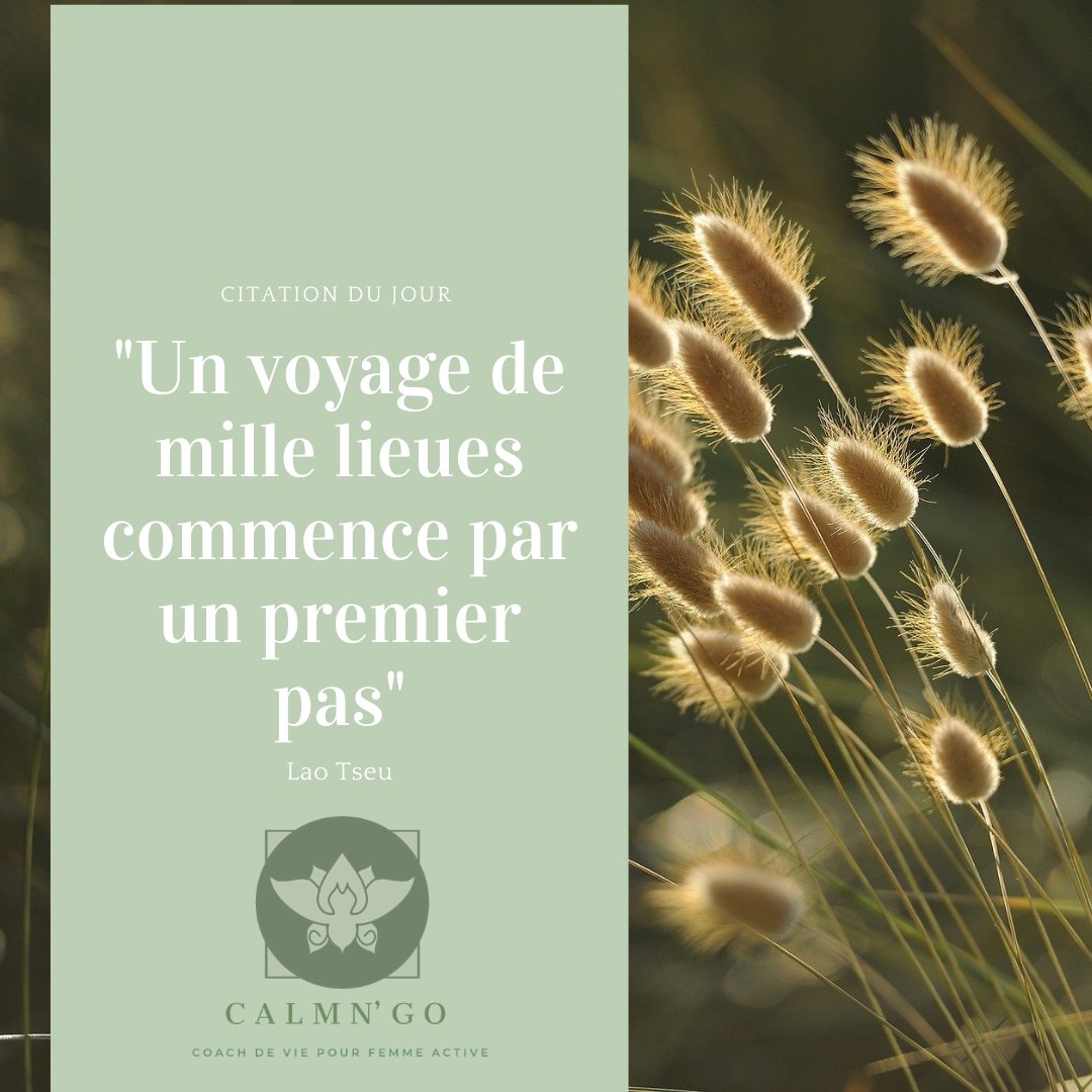 GoCalmn's tweet photo. "Un voyage de mille lieues commence toujours par un premier pas" - Lao Tseu
#personaldevelopment https://t.co/9Qsg8fenSe