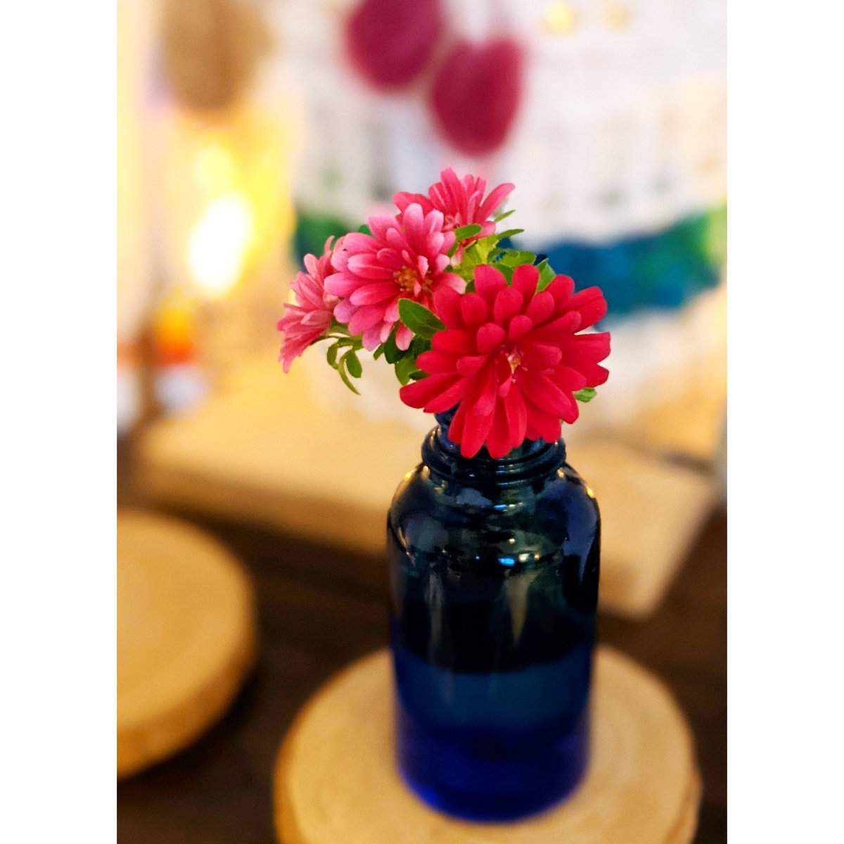 nekoashi_natsu's tweet photo. 昨日はジュリにゃんの月命日でした🌼✨
#flower
#17日 #月命日 #forGiulia😺🌈💖 #photography #nekoashinatsugramRIPGiulia #ジュリにゃん #ジュリア https://t.co/46c606IMX2
