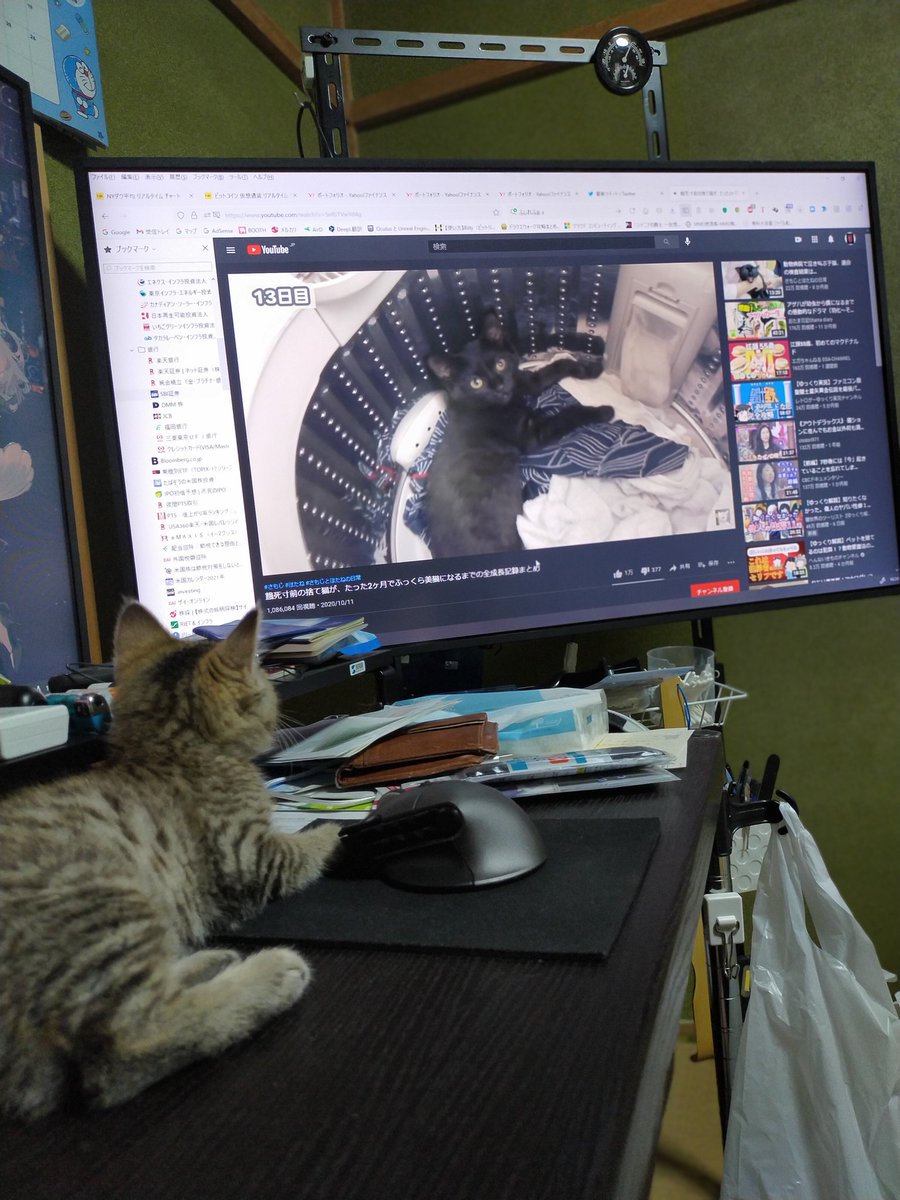A List Of Mokamk2 S Photographs And Videos Whotwi Graphical Twitter Analysis A List Of Mokamk2 S Photographs And Videos Whotwi Graphical Twitter Analysis