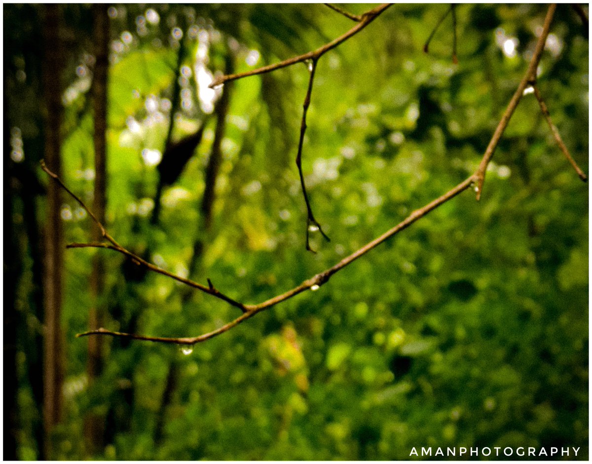 മഴ
#amanmcphotography #pocox2 #മഴ #photography #kerala #aarzookhurana