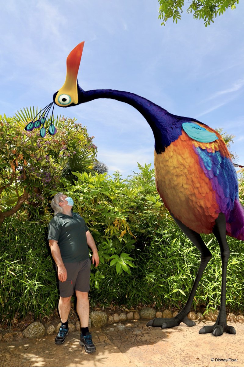 Stephane_SQRL's tweet photo. #DisneylandParis qui rouvre ses portes (enfin !), c'est trop bon, d'autant plus quand on y fait des rencontres inattendues ! #Kevin ? 😄
#MagicIsHere https://t.co/n75VpqgDhZ