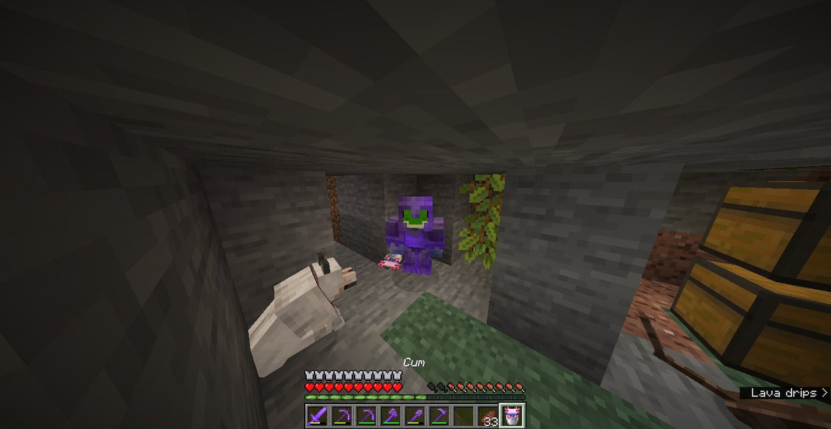 CrowsCorpse's tweet photo. hehe day 3? of 1.17 and full netherite w enchants >:) and many axolotls,, also peep the new skin :D ALSO a friend of mine found the rare axolotl on like the first day and we're actively mass breeding,, https://t.co/UeODAGSezg
