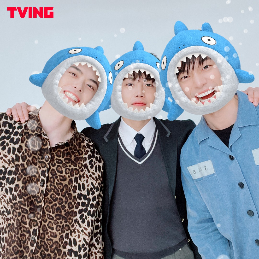 아직도 샤크를 안 본 사람이 있샥? 공개하자마자 티빙 영화 1위 먹었샥🏆 이번 주말은 <샤크 : 더 비기닝> 으로 시원하게🦈 바로 지금, 티빙에서...