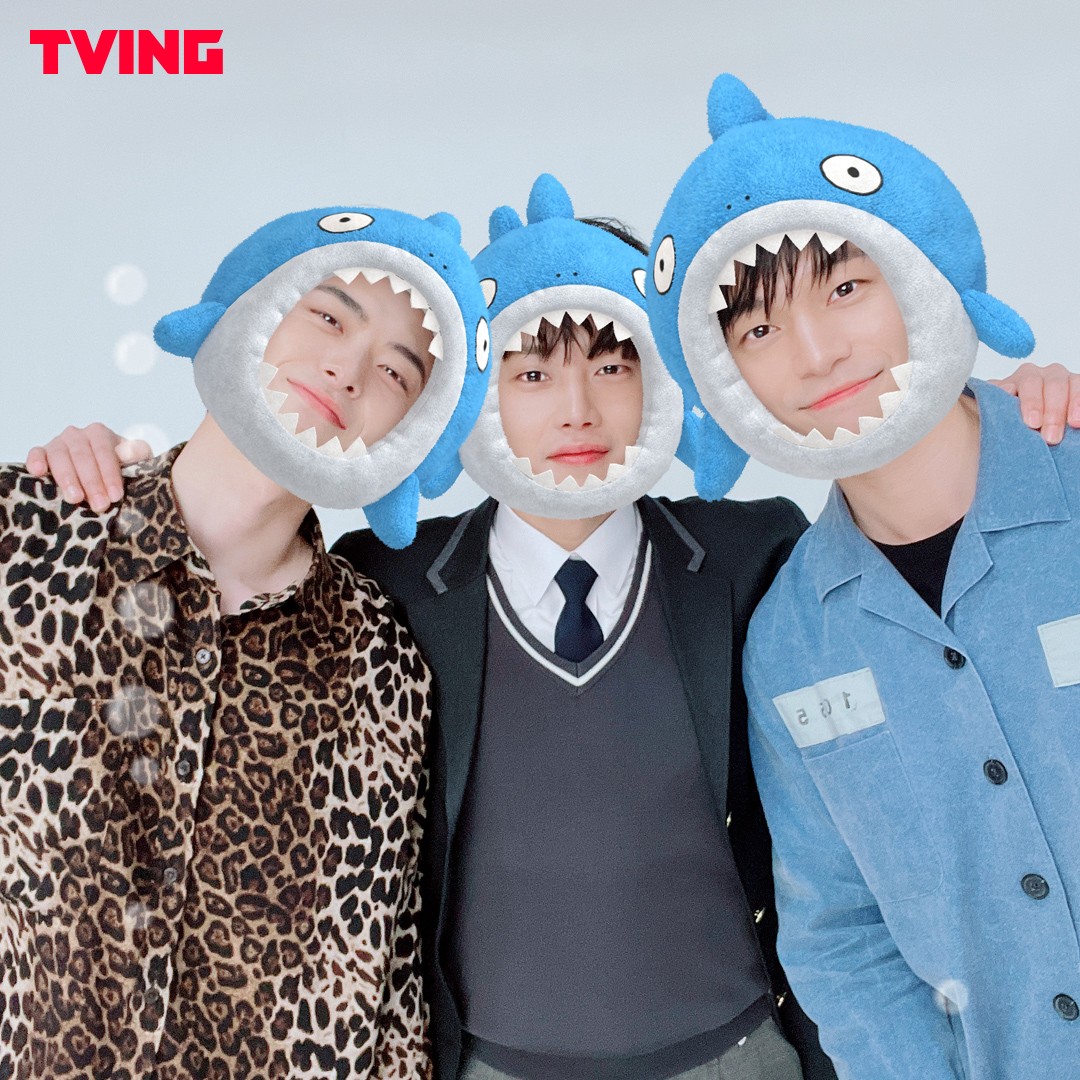 아직도 샤크를 안 본 사람이 있샥? 공개하자마자 티빙 영화 1위 먹었샥🏆 이번 주말은 <샤크 : 더 비기닝> 으로 시원하게🦈 바로 지금, 티빙에서...