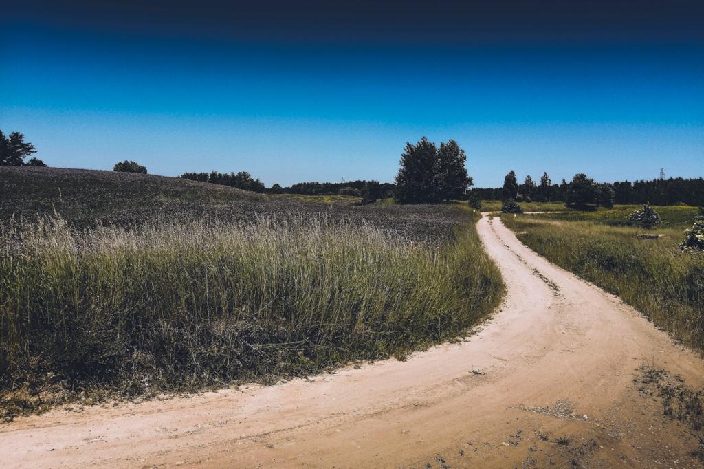 Nabila Tejpar tweet media