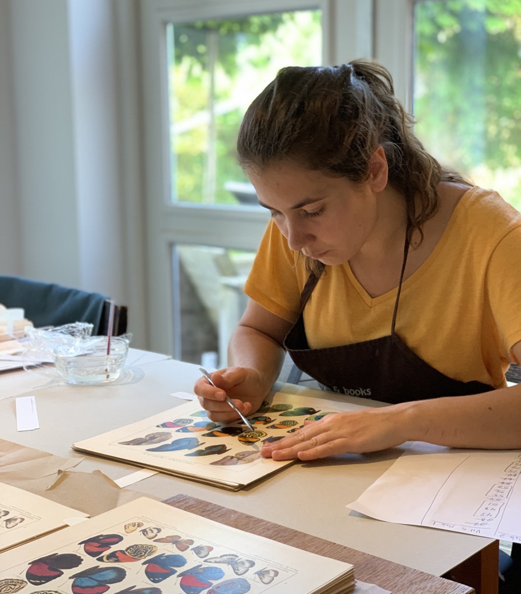 Today at Redbone Bindery, we say goodbye to our wonderful stagière, Ana Tourais. She worked with us these last two months, learning bench skills for conserving &amp; restoring all things bookish, from this 1645 Leiden imprint to these beautiful butterfly prints, Stuttgart c. 1920.